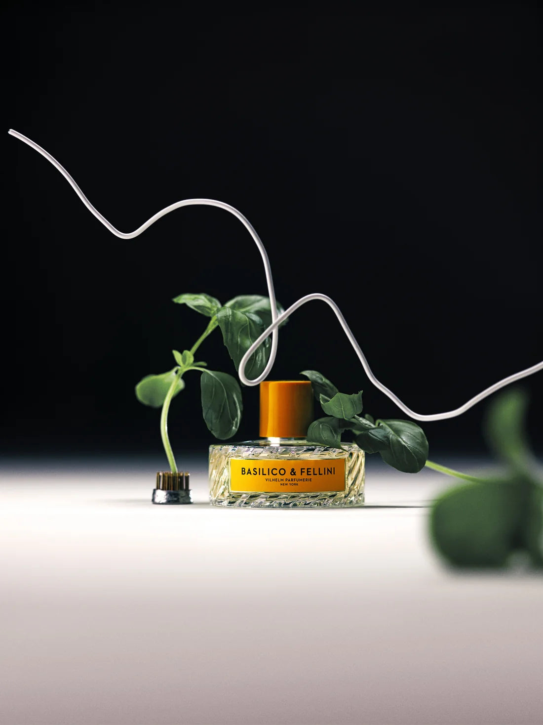 VILHELM PARFUMERIE BASILICO & FELLINI EDP 100ML