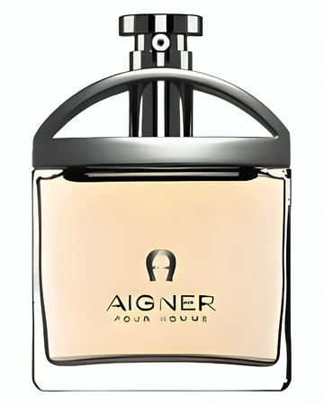Aigner pour Homme Etienne Aigner for men Old version 100ML