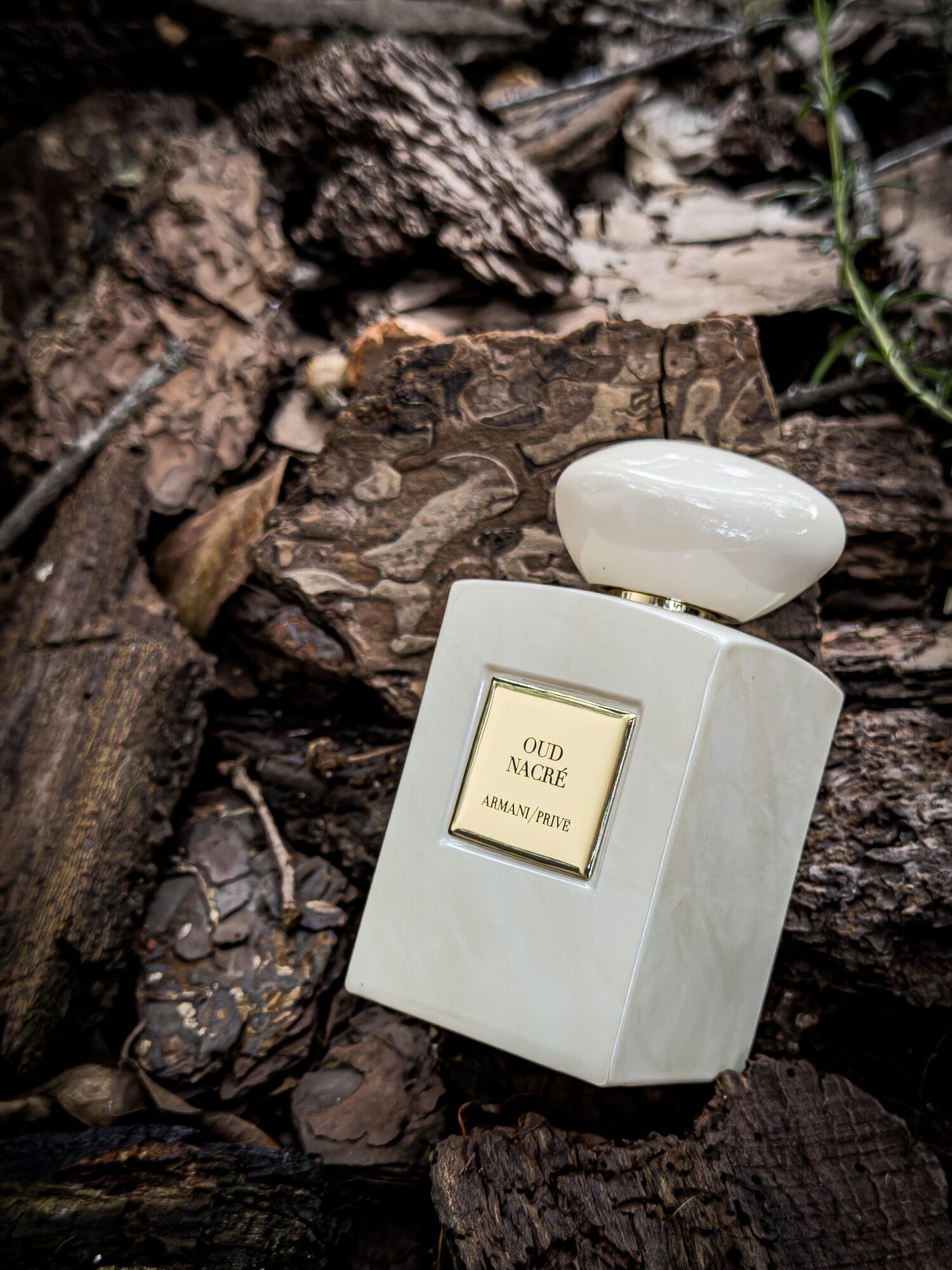 Oud Nacré Giorgio Armani for women and men 100ml