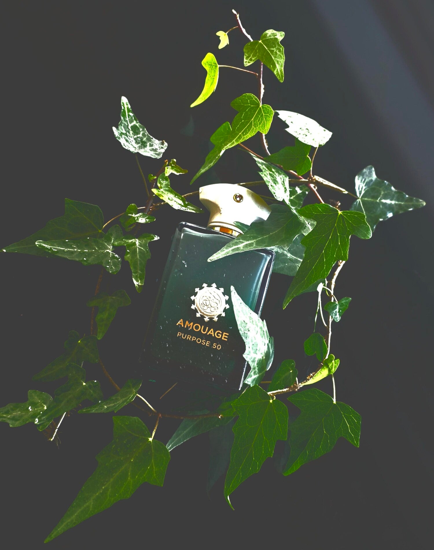 Amouage Purpose 50 for women and men 100ml